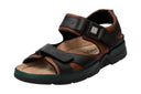 Sandales SHARK FIT marrons