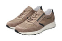 Baskets DINO PERF grises